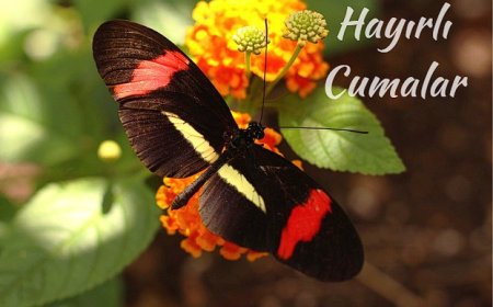 Cuma Mesajlarıyla Kalplere Dokunan Dilekler